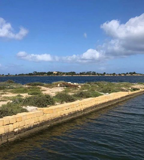 C’era una volta il perpetuo e oggi sta tornando