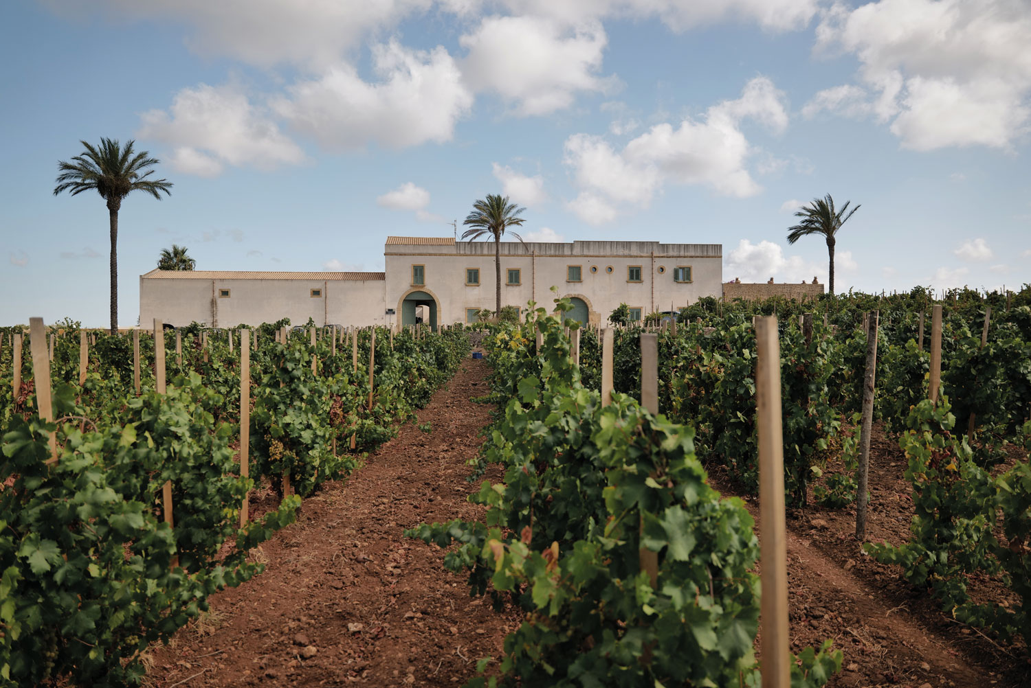 tenuta-baglio-donnafranca-hero-DEF